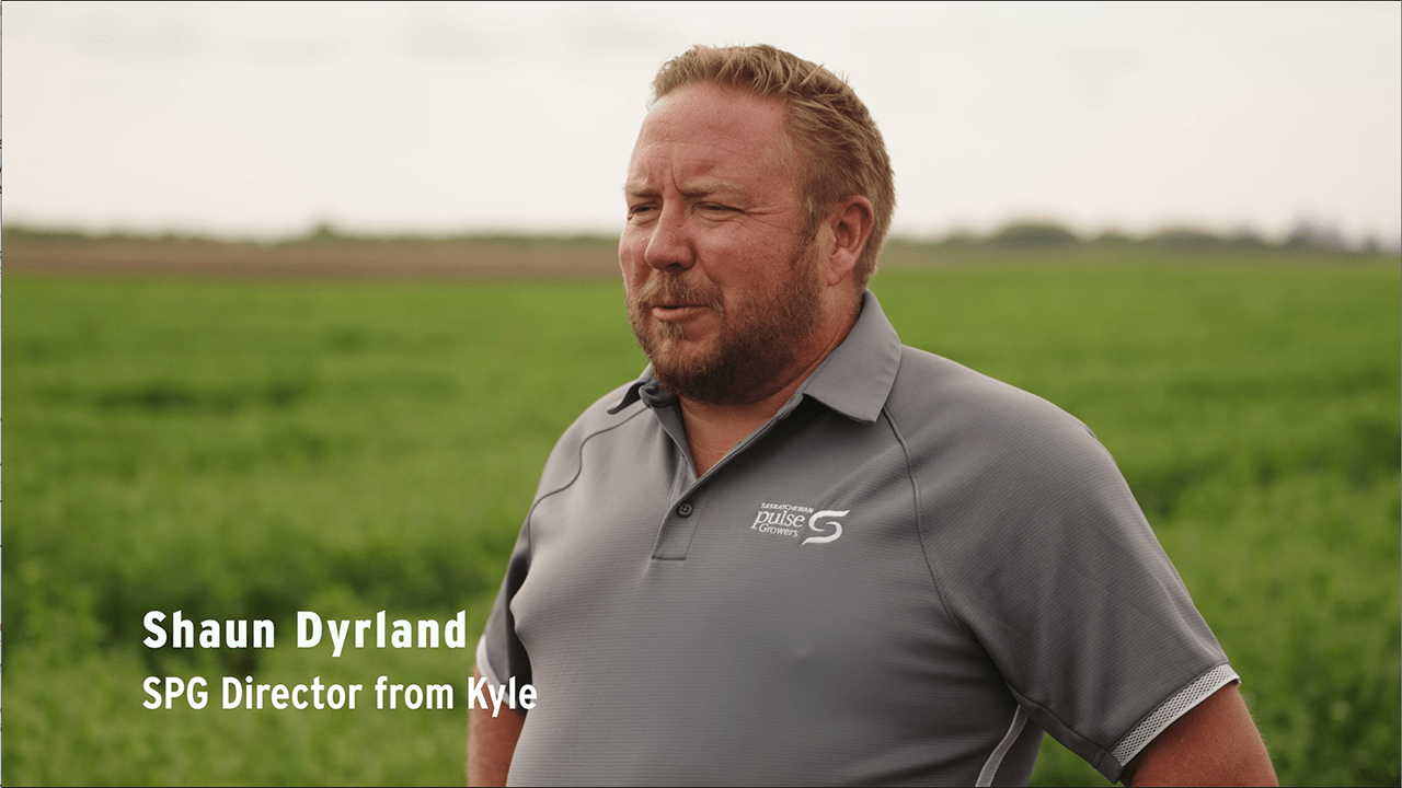 2024 Pulse Variety Seminar Saskatchewan Pulse Growers