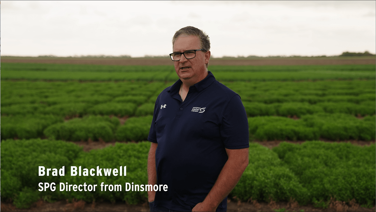 2024 Pulse Variety Seminar Saskatchewan Pulse Growers