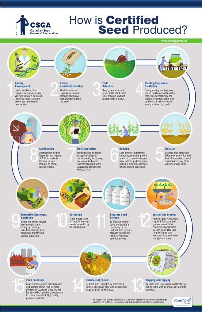 a Seed Grower Saskatchewan Seed Growers’ Association