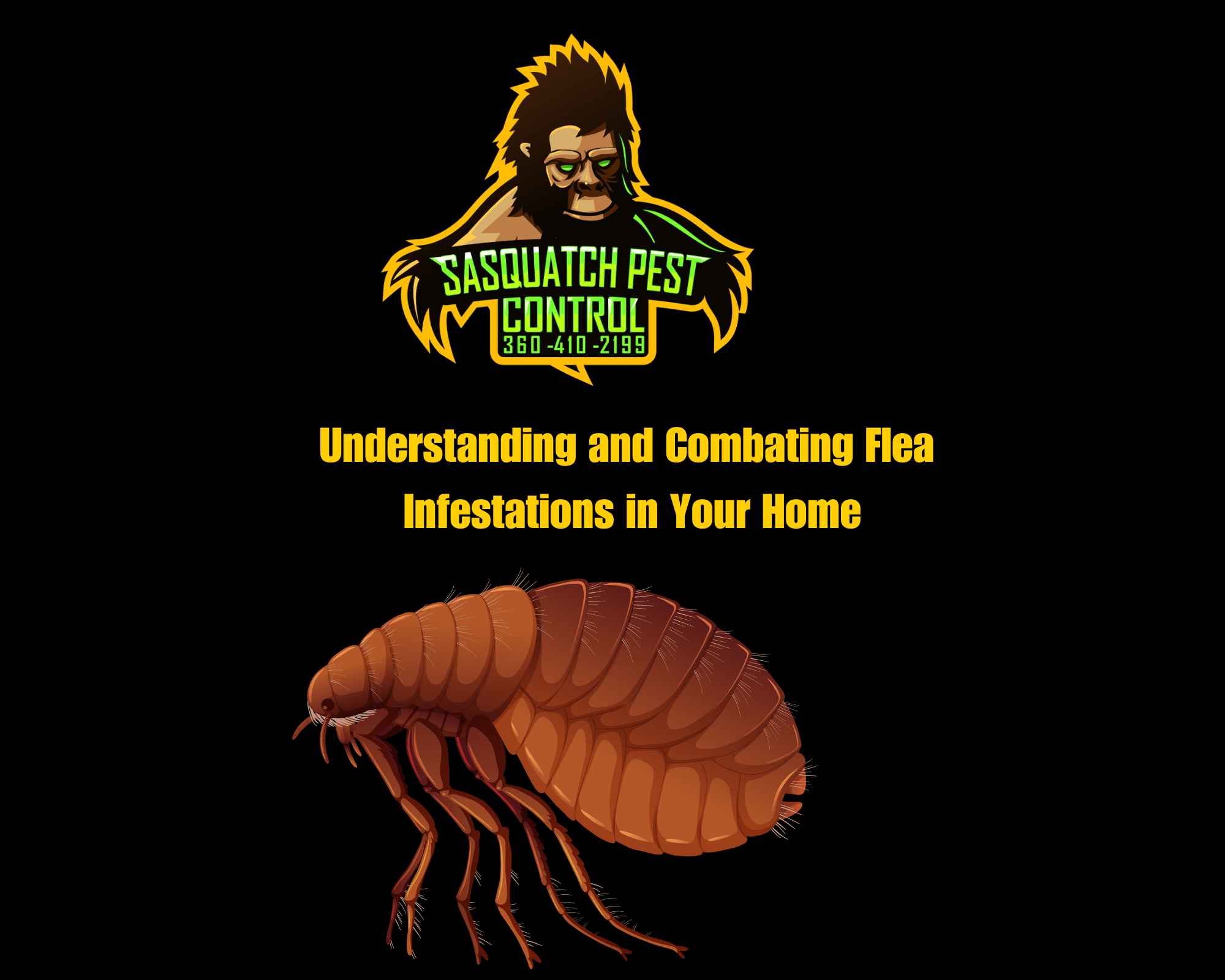 Understanding and Combating Flea Infestations in Your Home Sasquatch Pest Control