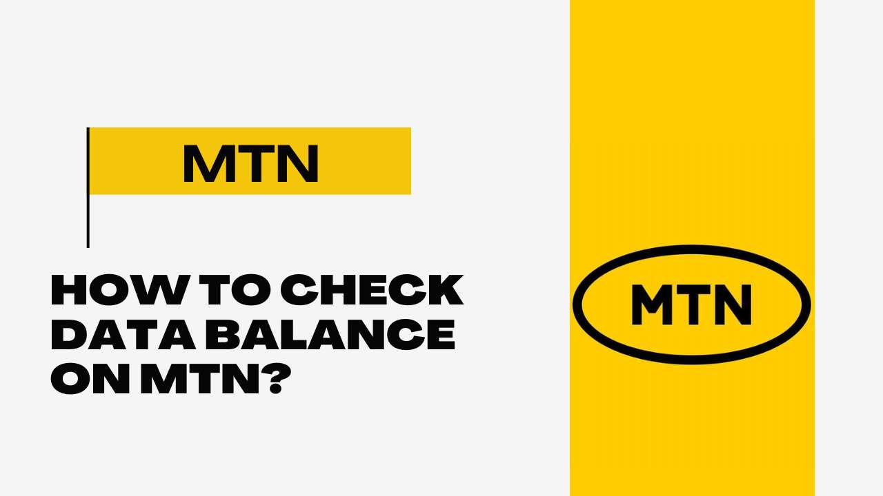 How to Check the Data Balance on MTN? SASSA Application