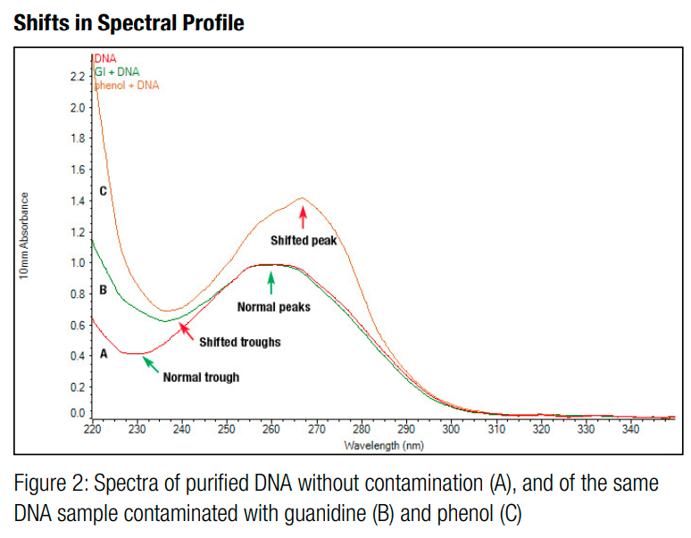 Shining Some Light on Spectrophotometry Emma Benjaminson Mechanical Engineering Graduate Student