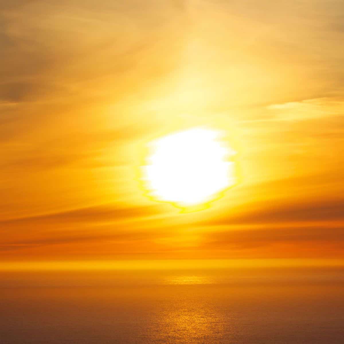 The Progressed Sun in Love and Life Sasstrology