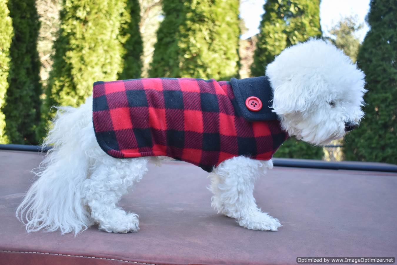 Buy Classical Red Buffalo Plaid Custom Fleece Dog Coat SASSY DOG FASHIONS