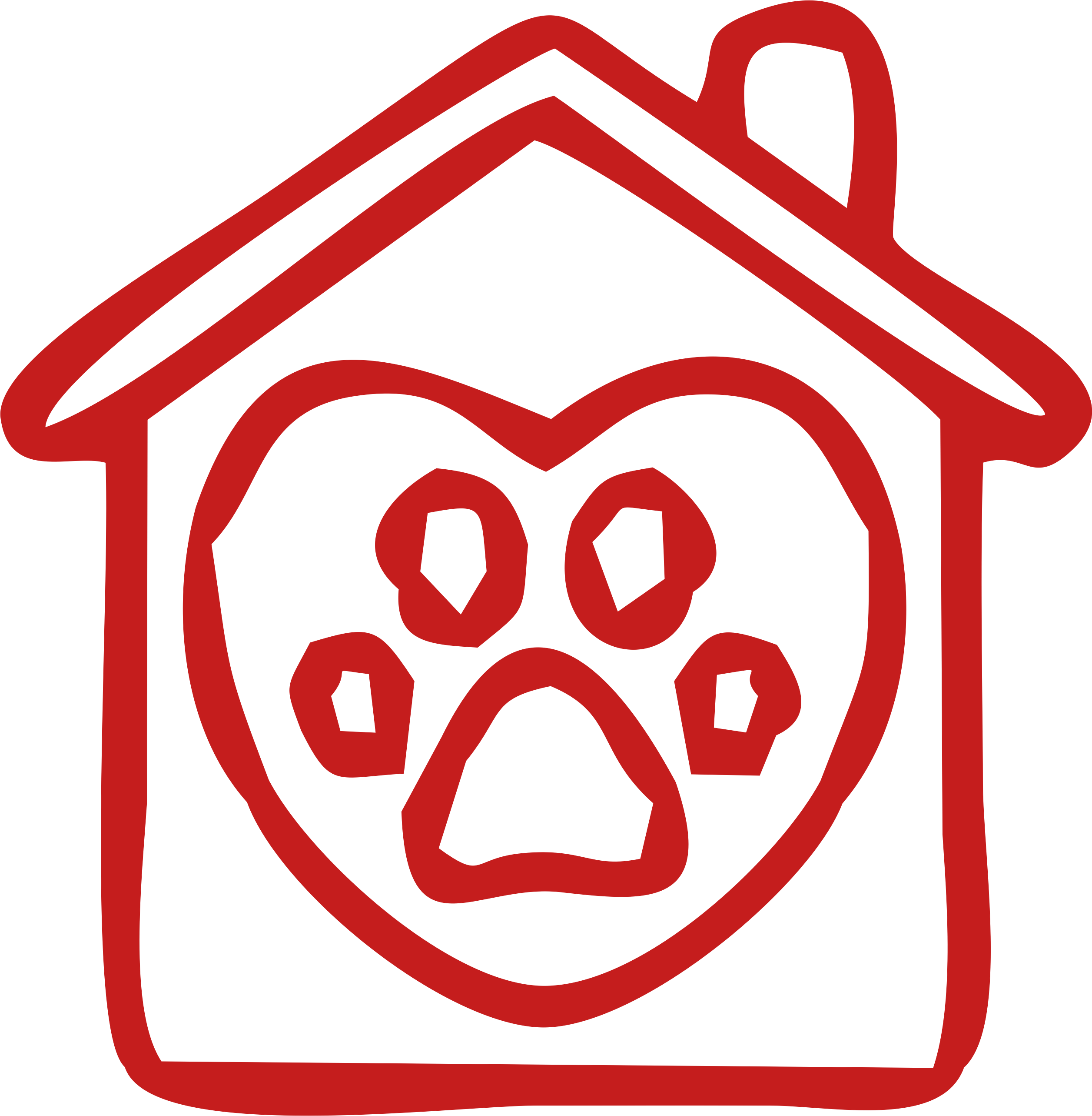 Sassy's Cat Cafe and Adoption Centre Local Adelaide Cat Cafe