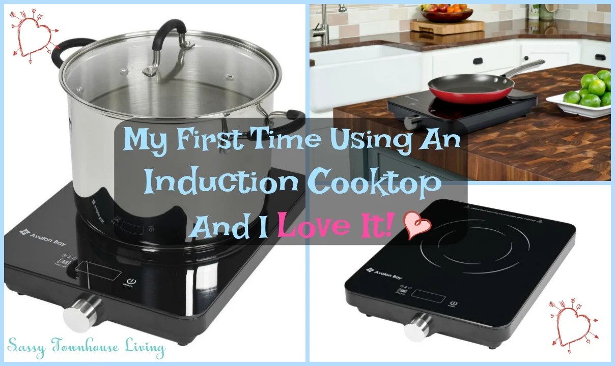 My First Time Using An Induction Cooktop And I Love It