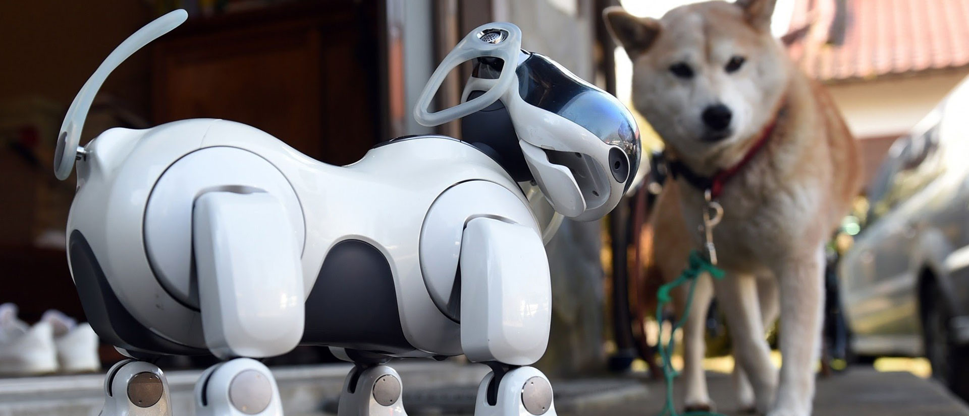 Future Robot Pets End of the Road for Man’s Best Friend