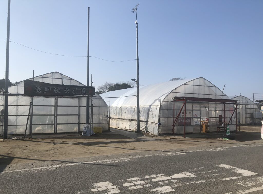 東海村にある「藤戸いちご園」でいちご狩り in 茨城県東海村 Satochannel