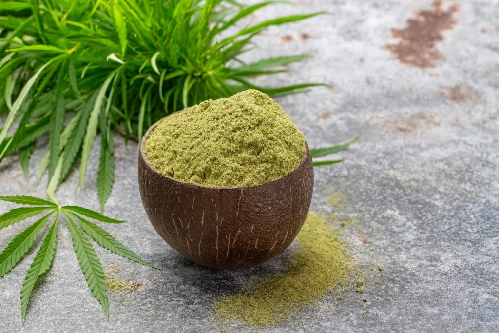 Pea Protein Vs Soy Vs Rice Vs Hemp The Ultimate Comparison Guide