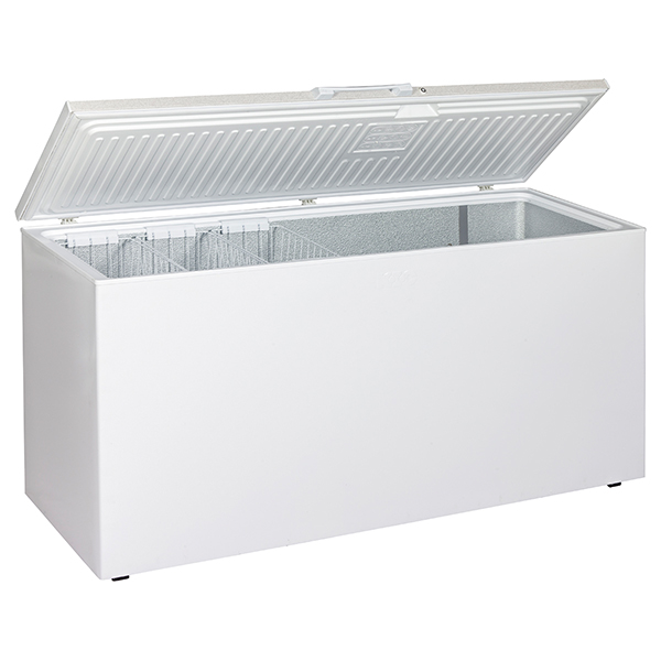 Deep Freezer Rental Satori Events Management and Promotions