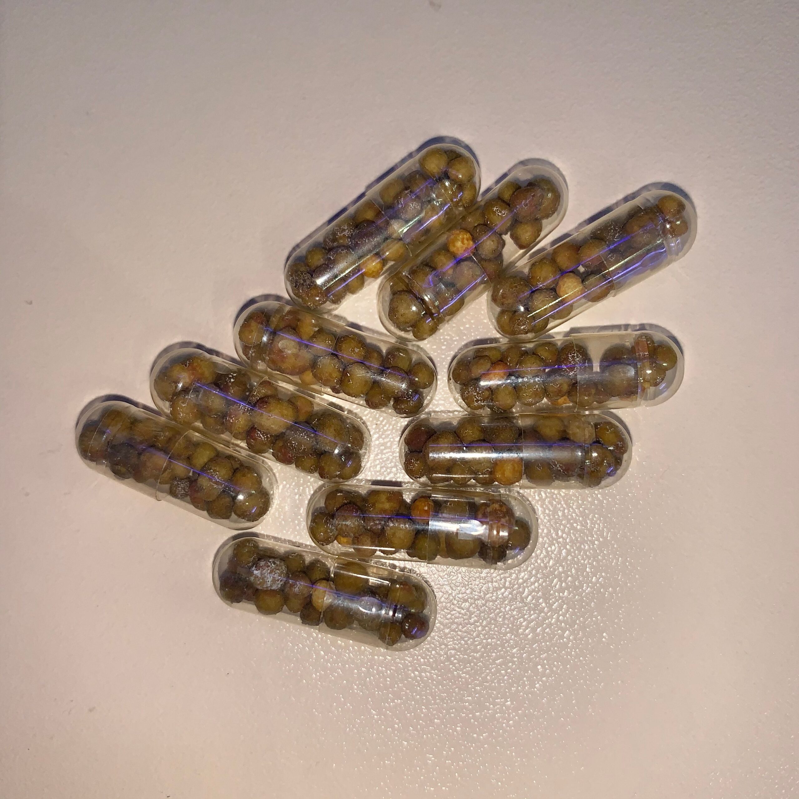 Root Tabs 10 Pack Saturn Shrimp