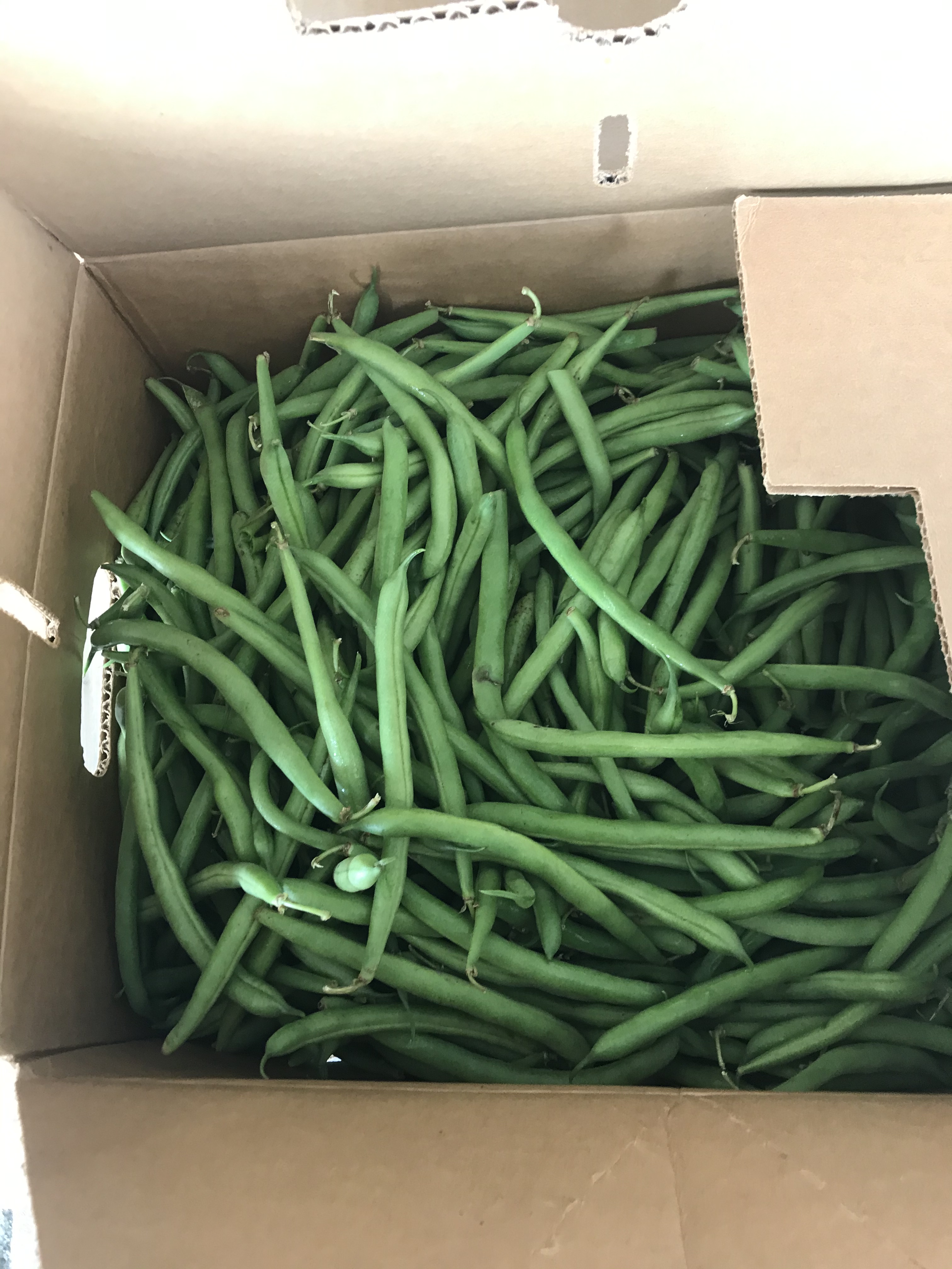 Shippensburg Auction Center WHERE YOUR BID COUNTS