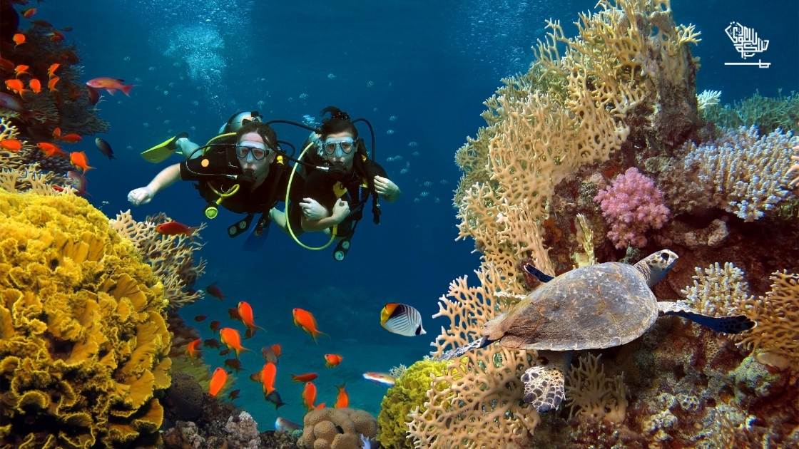 Discover the Thrills of Scuba Diving in Saudi Arabia's Red Sea Saudi