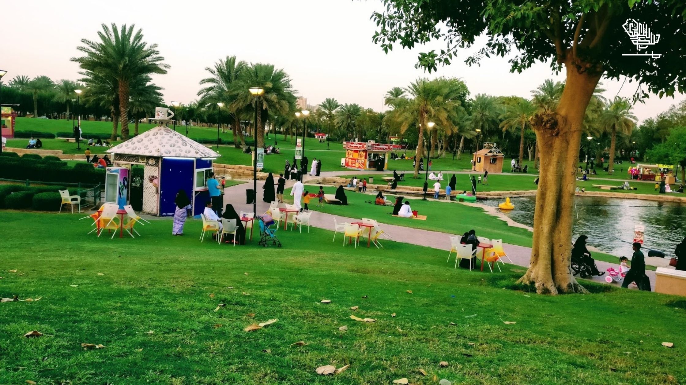 Top most beautiful parks in Riyadh that you must visit Saudi Scoop