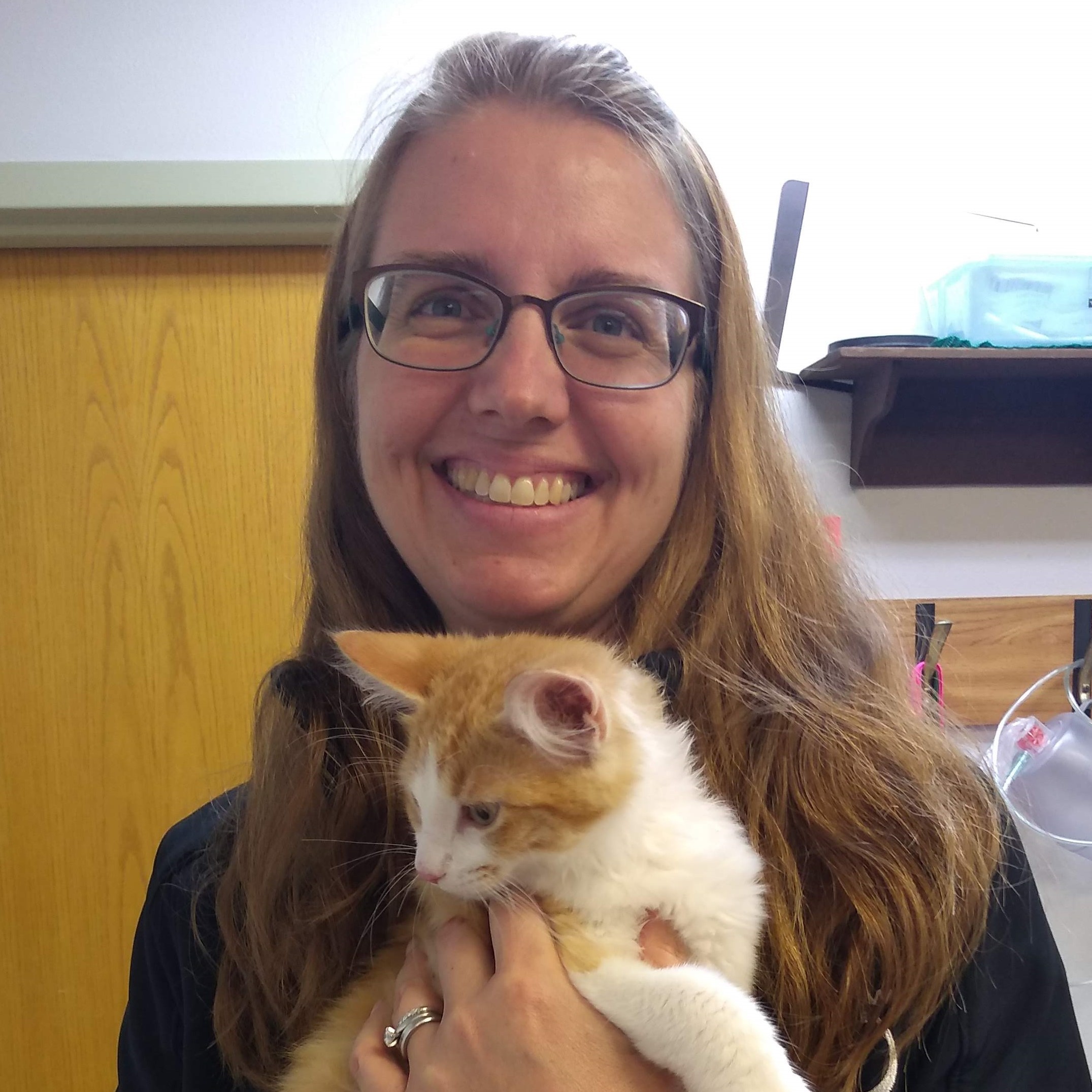 Veterinarian in Madison WI Sauk Point Veterinary Clinic