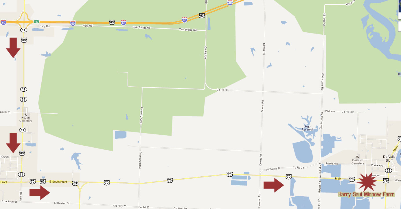 Contact Harry Saul Minnow Farm