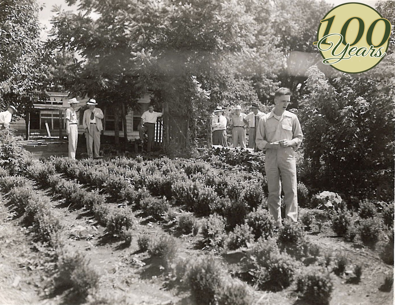 Saunders Brothers Nursery, Orchard & Farm Market