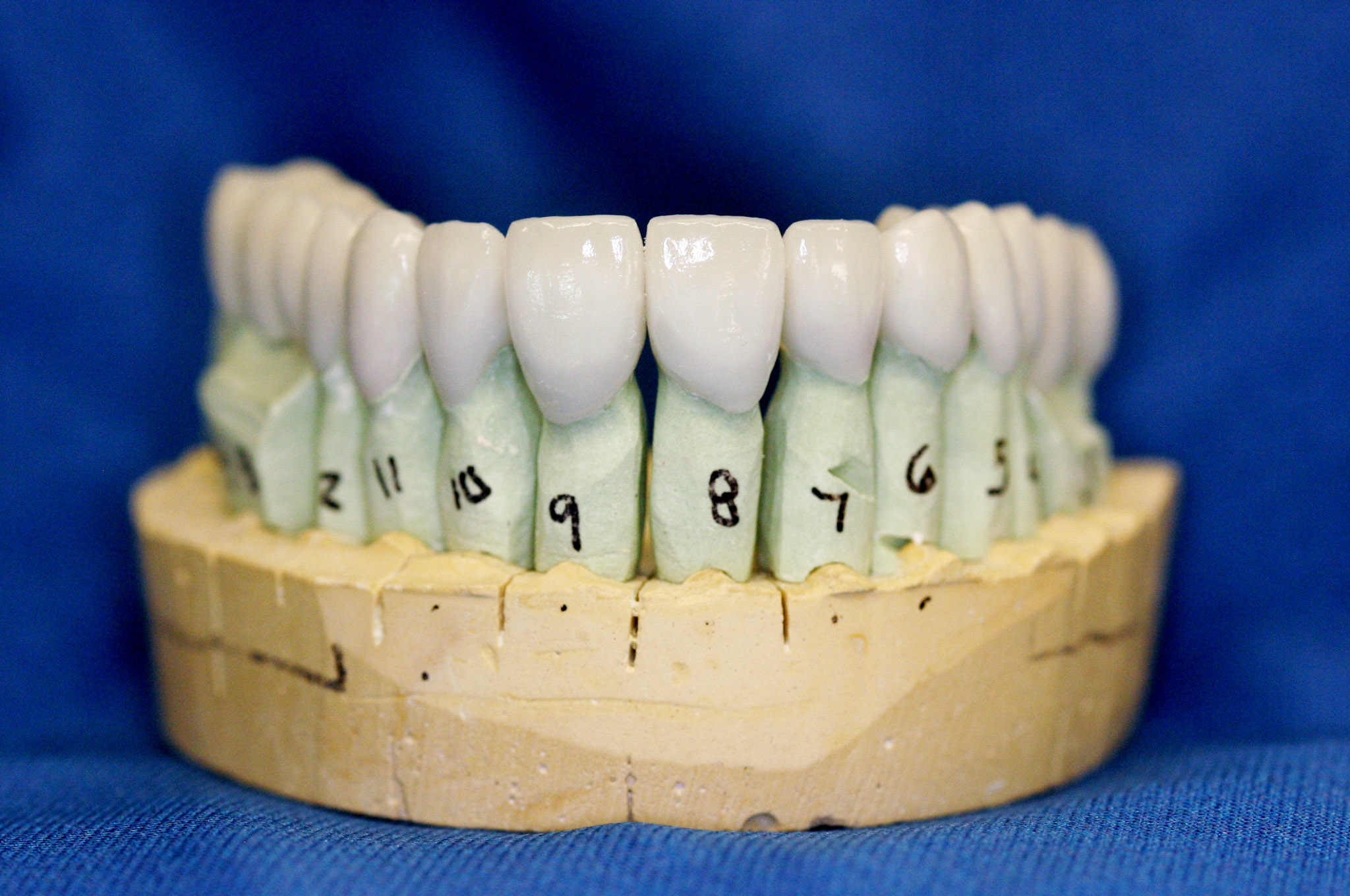 Saunders Dental Laboratory