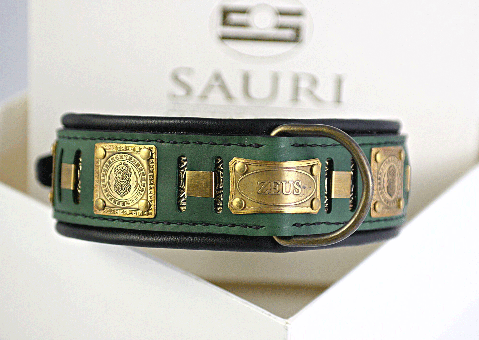ZEUS Custom dog collar with name Sauri Dog Collars