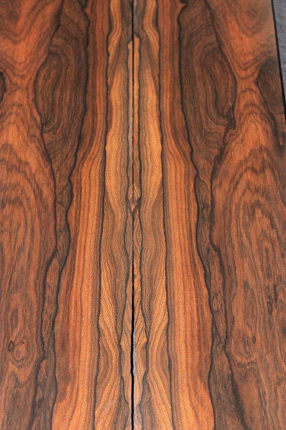 ZIRICOTE ACOUSTIC SET Savage Woods