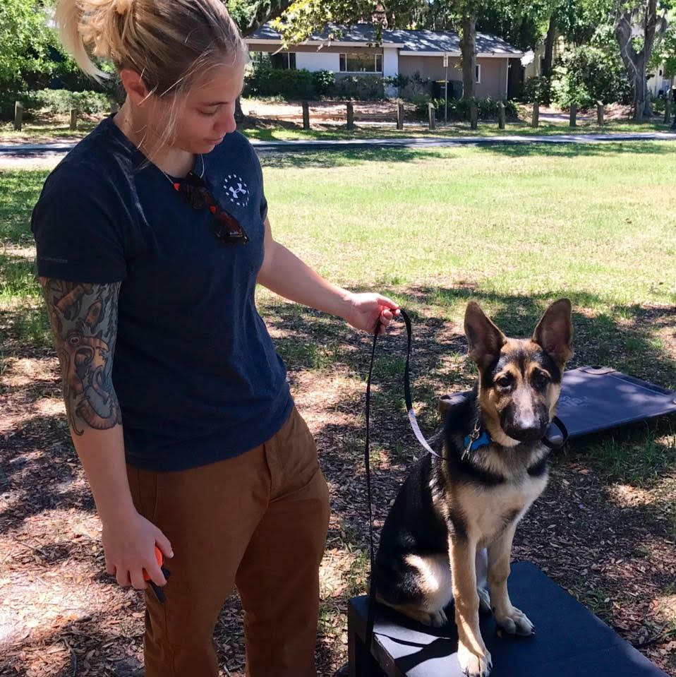 Dog Obedience Training Trainer Savannah Dog Training Savannah