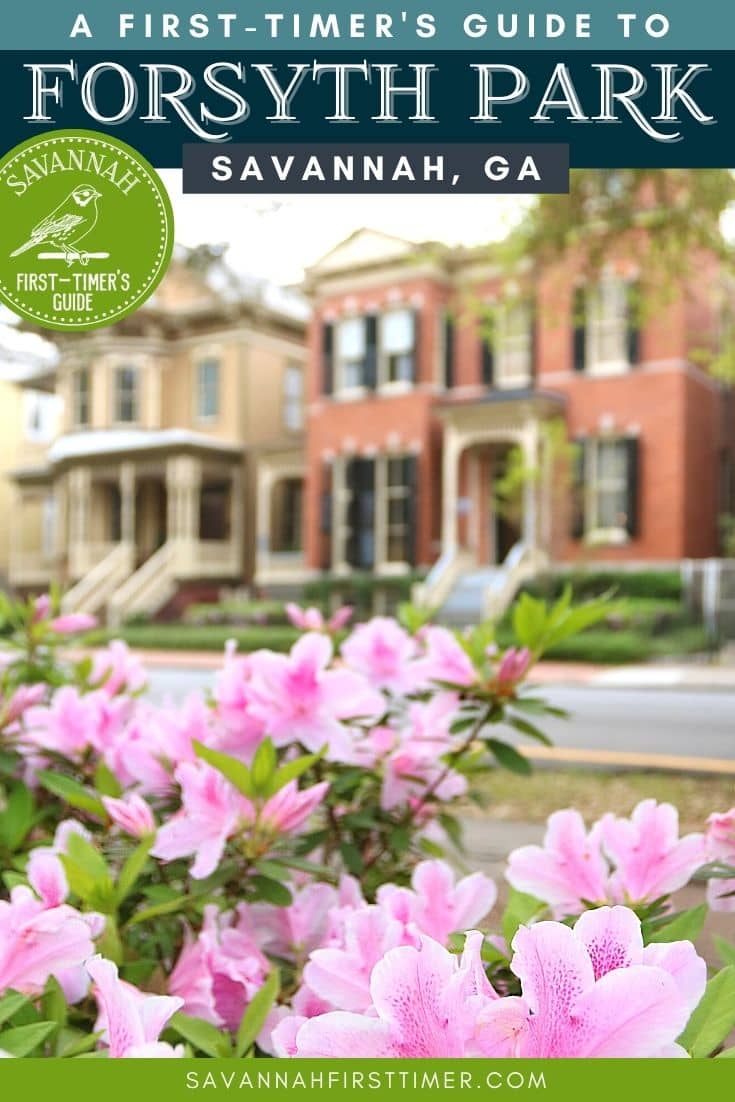 21 Photos That Will Make You Want to Stroll Through Forsyth Park