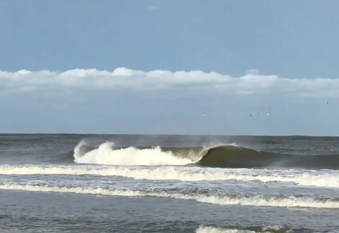 Surfing the entire coast of by boat Savannah Fly , fishing