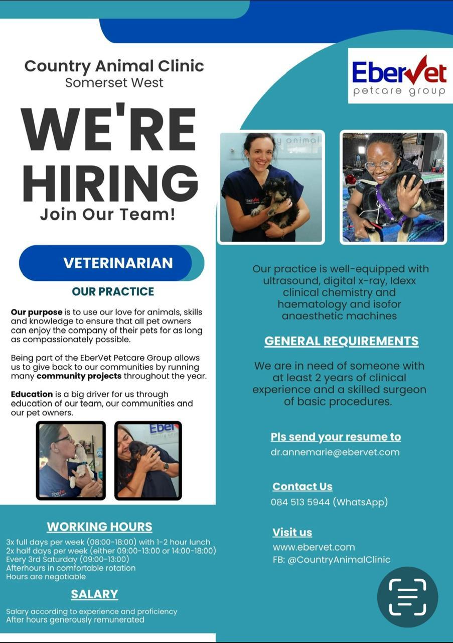 Available positions in the professions SAVC