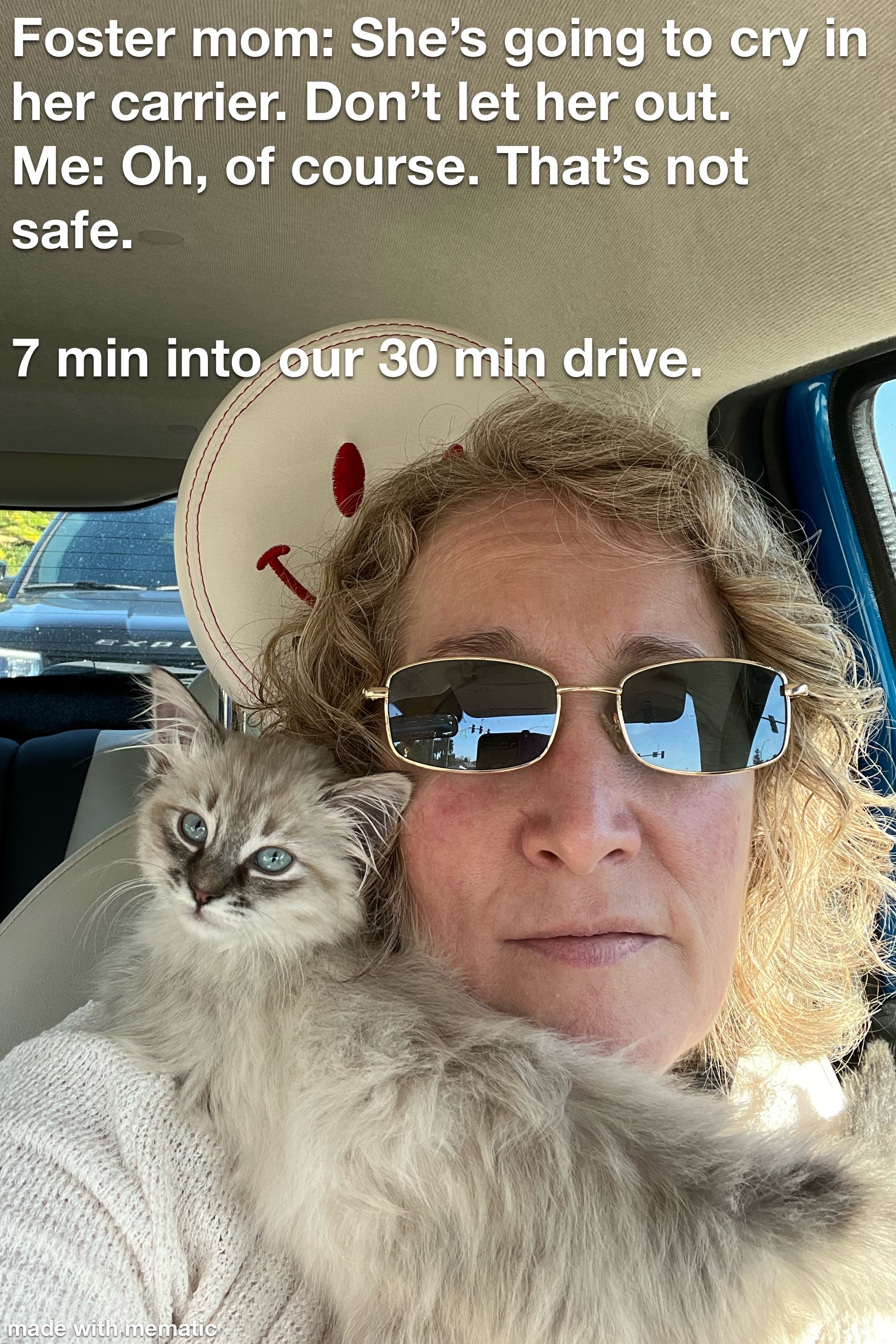 HOLIDAY CAMPAIGN TO HELP RESCUE ANIMALS Best Fundraising Sites For