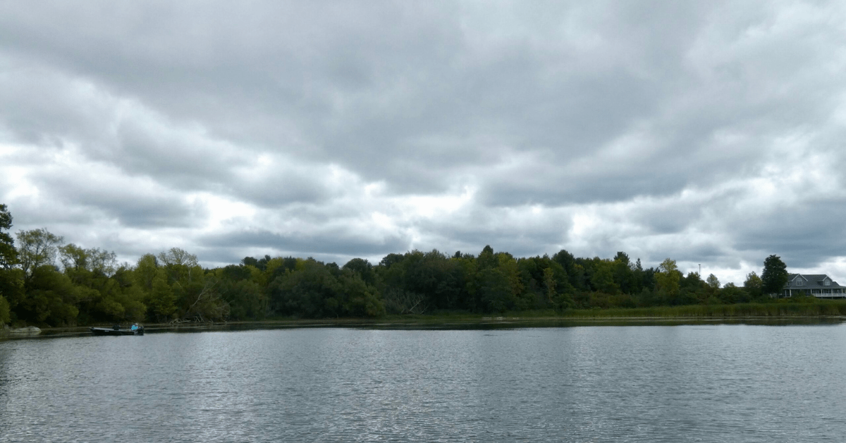 Thousand Islands Land Trust says Blind Bay purchase gives legal