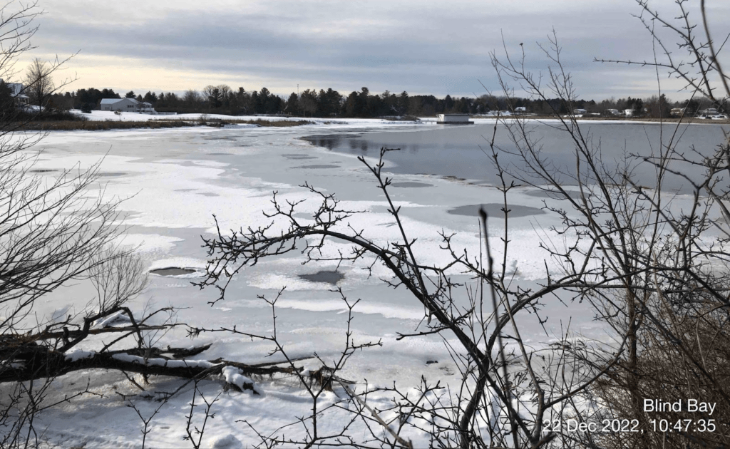 Update on Local Efforts to Save Blind Bay Save Blind Bay