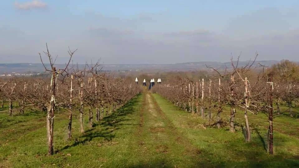 Tunbridge Wells Local Plan Details of the proposed next version released. • Save Capel