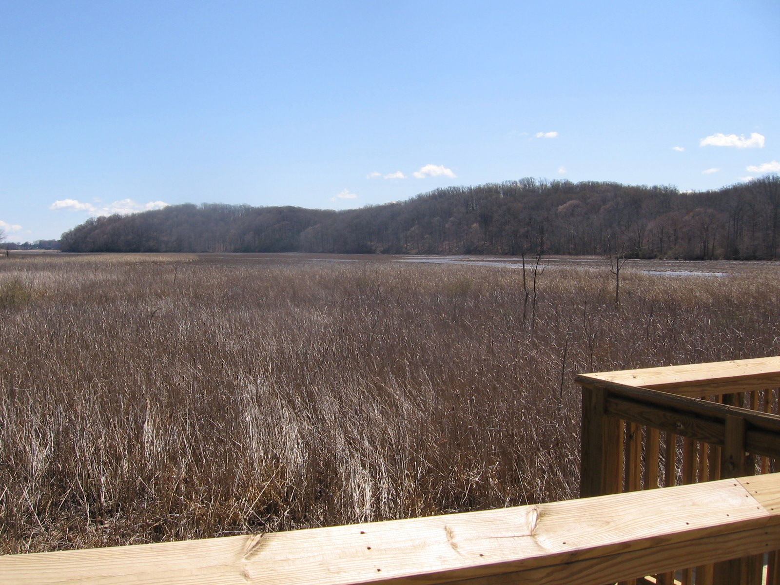 Crow’s Nest boat launch opens off Brooke Road