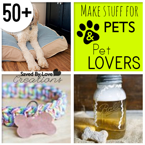 DIY Things to Make for Pets and Pet Lovers