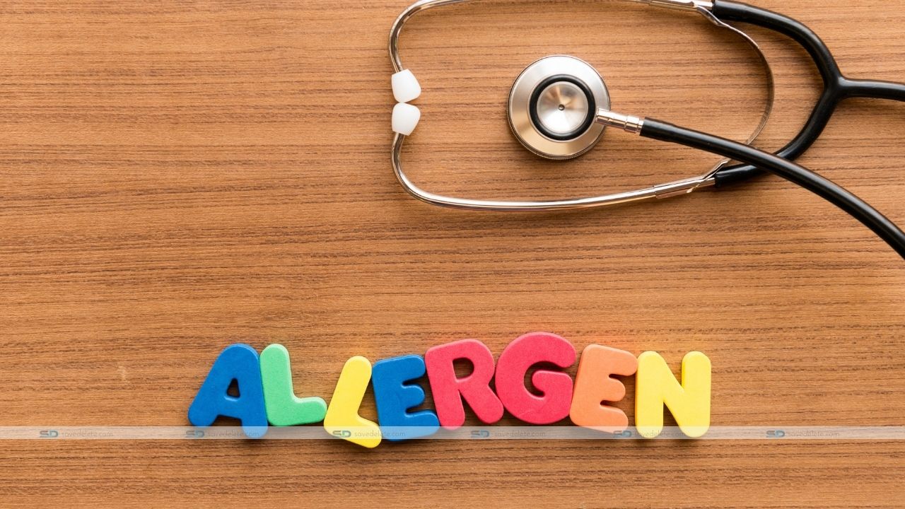 How to Reduce Allergens in Your Home A FoolProof (and SneezeProof