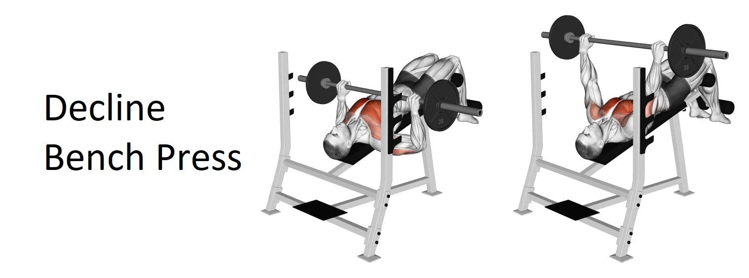 Decline Bench Press Technique, Benefits, and Alternatives for Upper