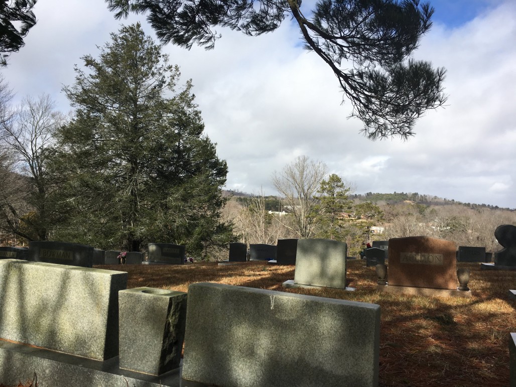 Saving Lives in One of Asheville’s Oldest African American Cemeteries
