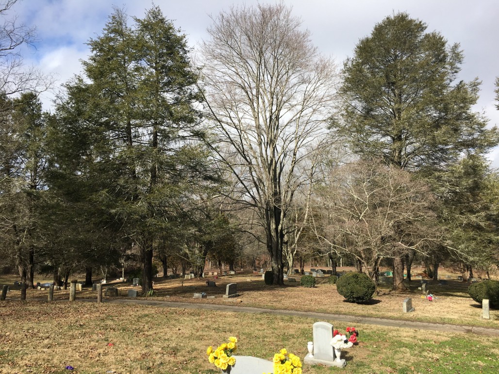 Saving Lives in One of Asheville’s Oldest African American Cemeteries