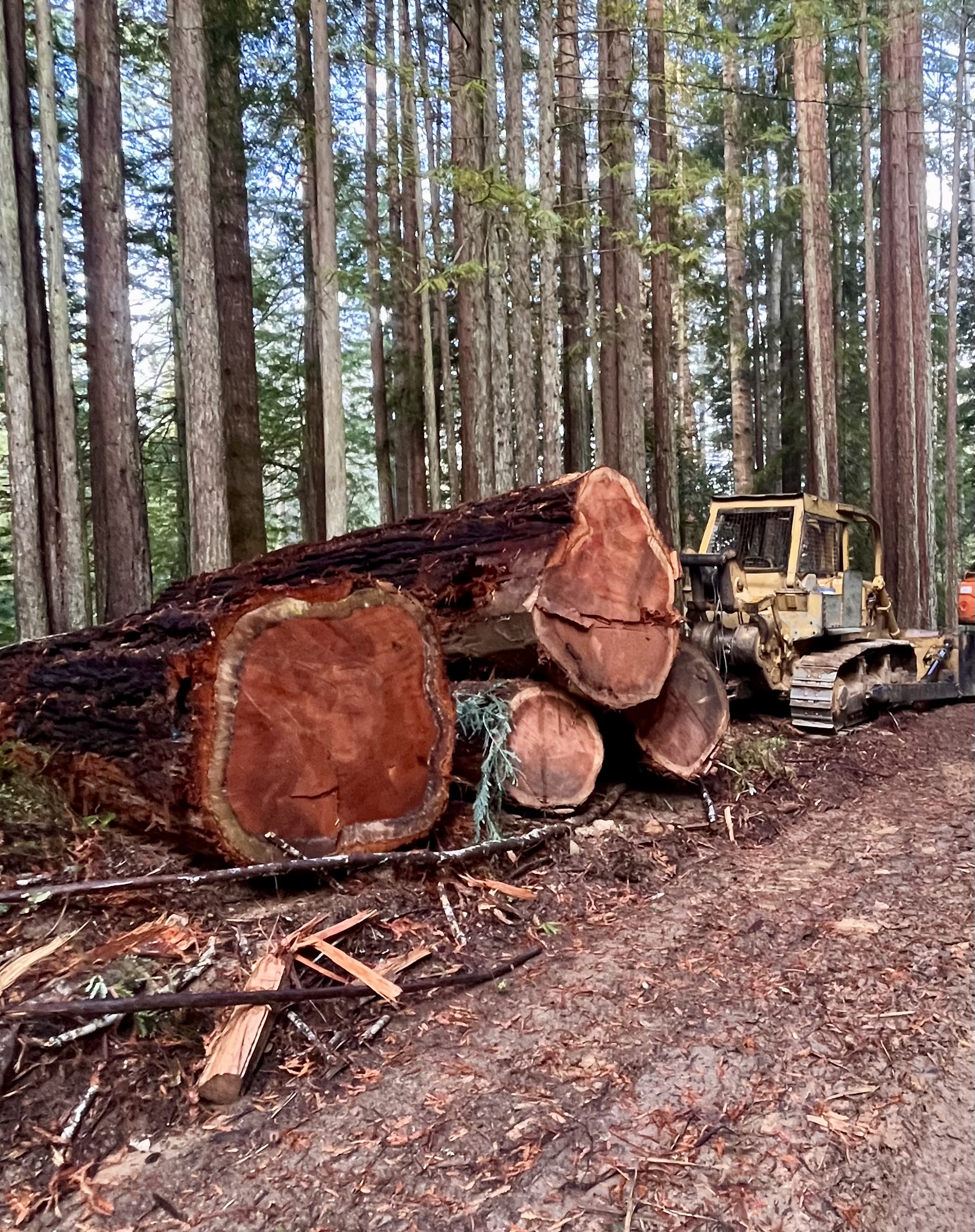 Timber Company’s Quiet Lawsuits Against CalFire Raise Questions About