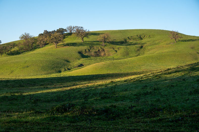 Park District and Save Mount Diablo Partner on Purchase Option for 768