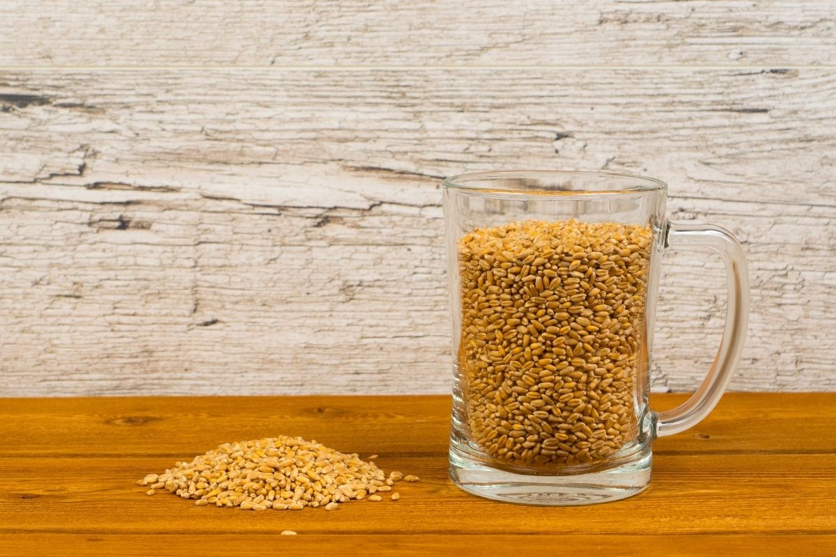 Malty Beer What Does It Taste Like? (Plus The Best Ones To Try