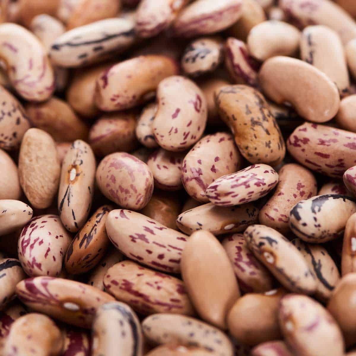 Are Kidney Beans BoneHealthy? Save Our Bones