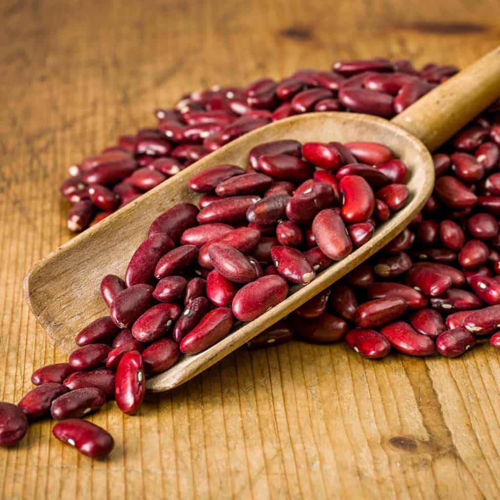 Are Kidney Beans BoneHealthy? Save Our Bones