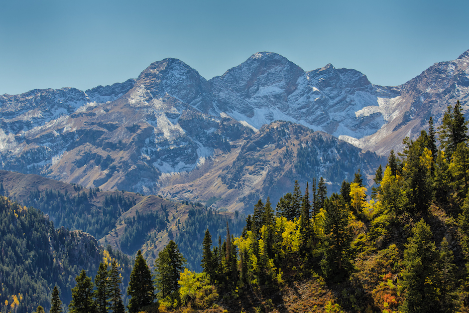 Utah Save Our Roadless Forests