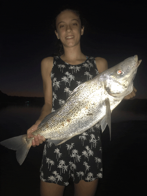 The tale of a 'homeloving' spotted grunter Save Our Seas Foundation