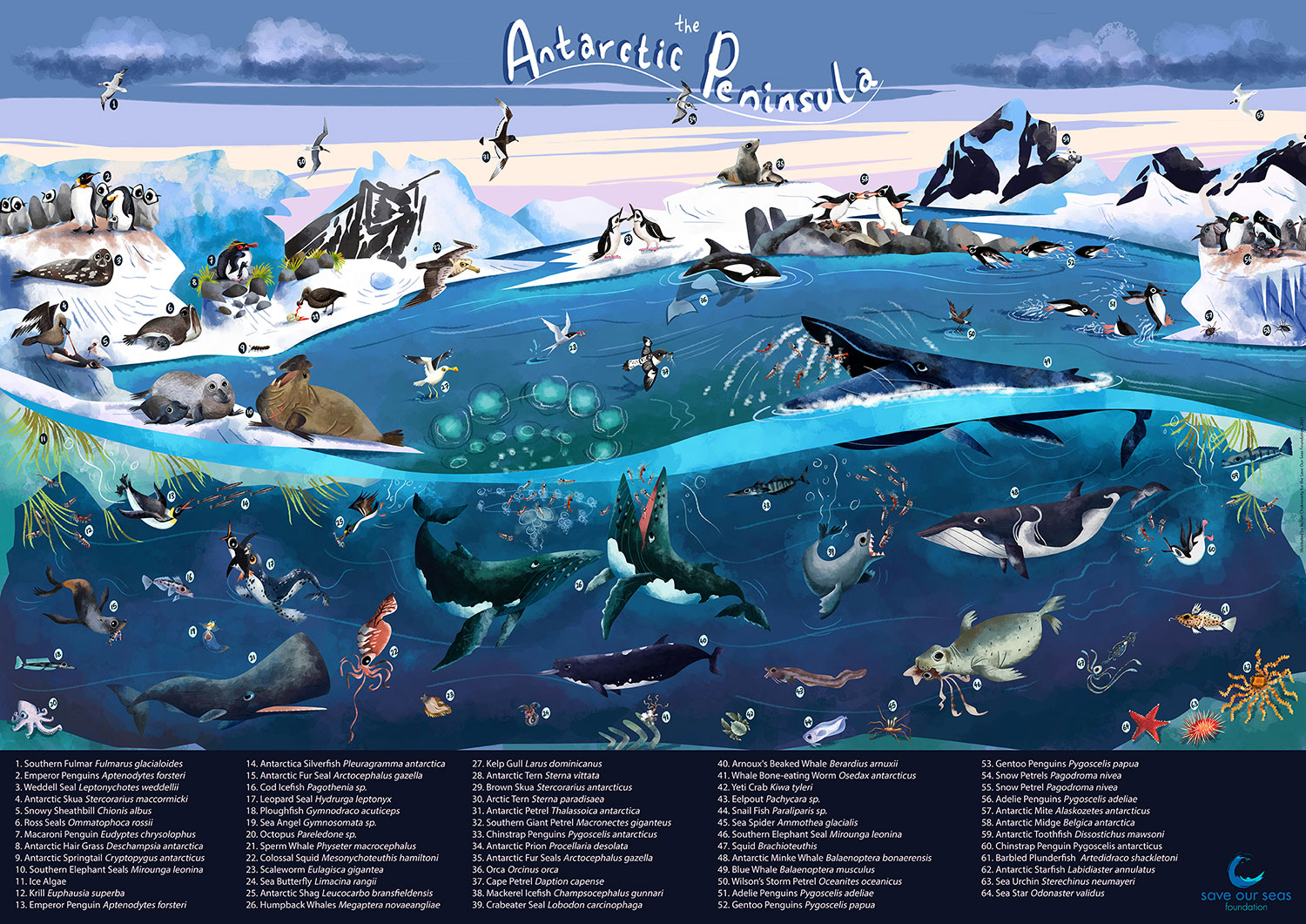 Antarctic Ecosystem