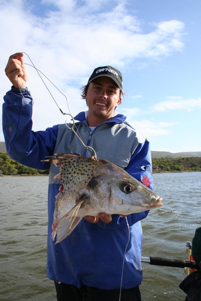 Status of the Zambezi shark research on the Breede River, South Africa