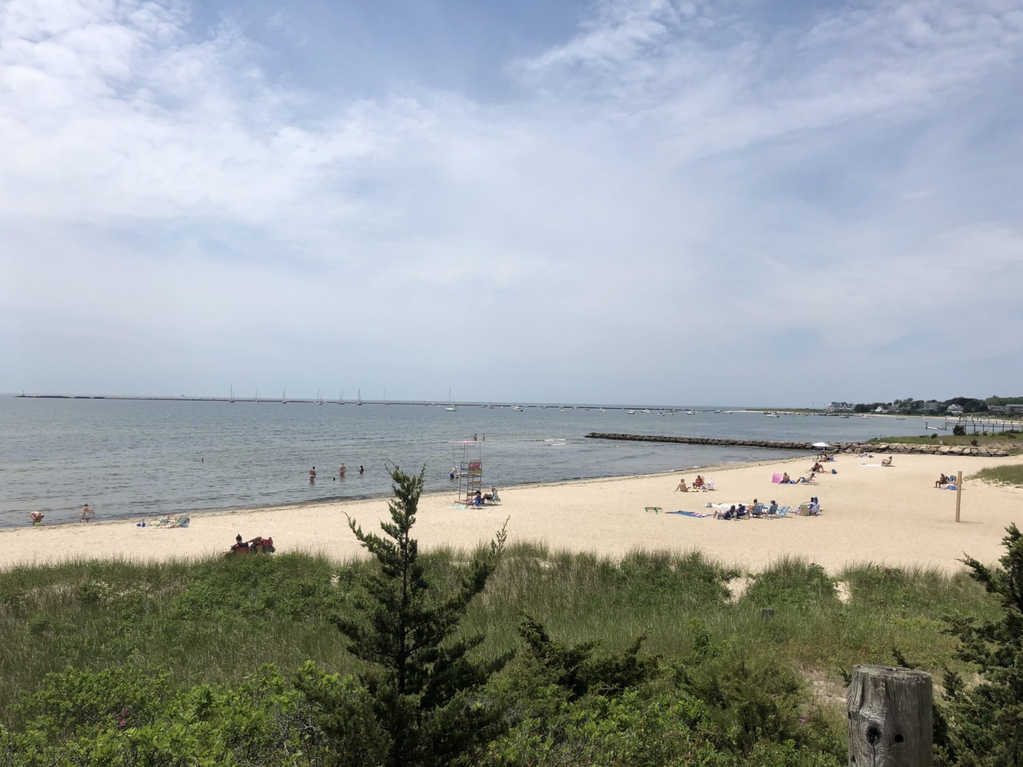 Keyes Memorial Beach Alliance to Protect Nantucket Sound