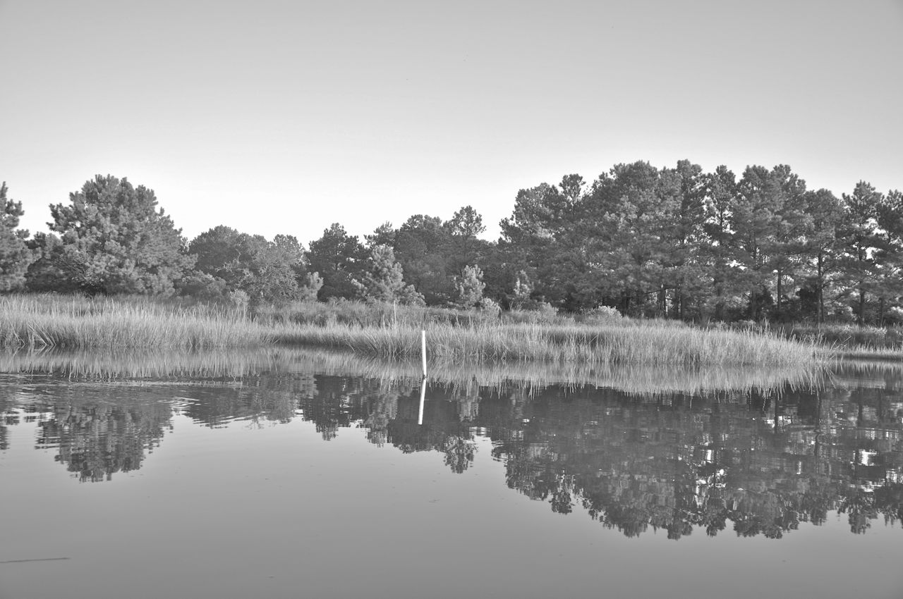 Some photos of Pleasure House Point