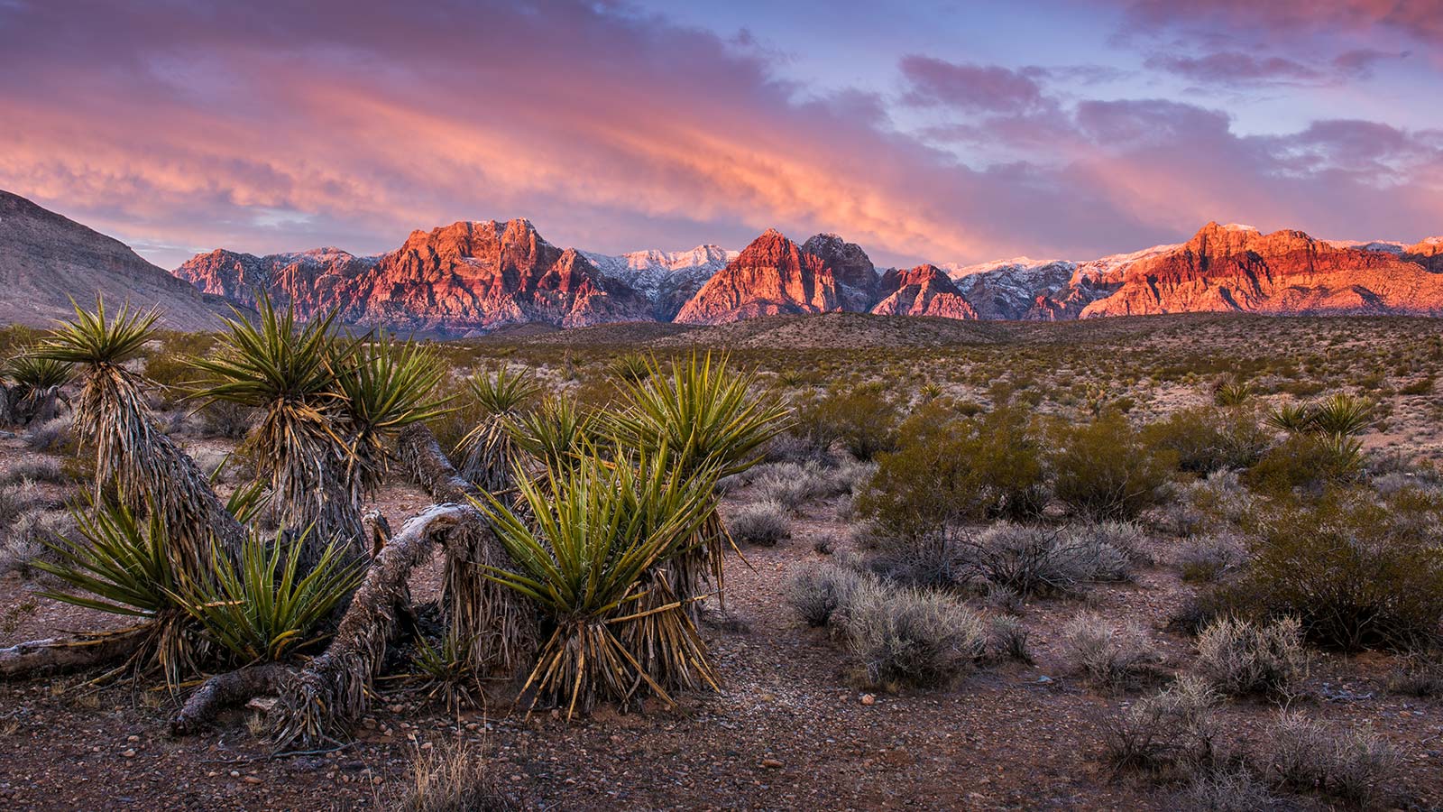 Help us Make it Rain in Red Rock! Save Red Rock Canyon